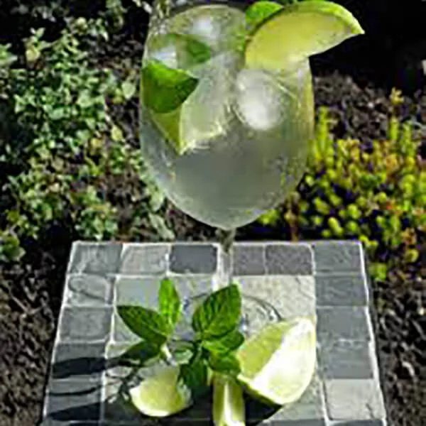 ProseccoCocktail“Hugo”promotion