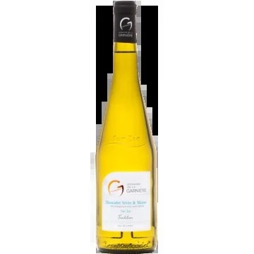 MuscadetSèvreetMainesurLie–Tradition2024–DomainedelaGarnière