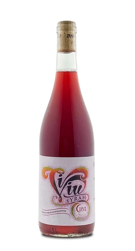 ViViu2020
