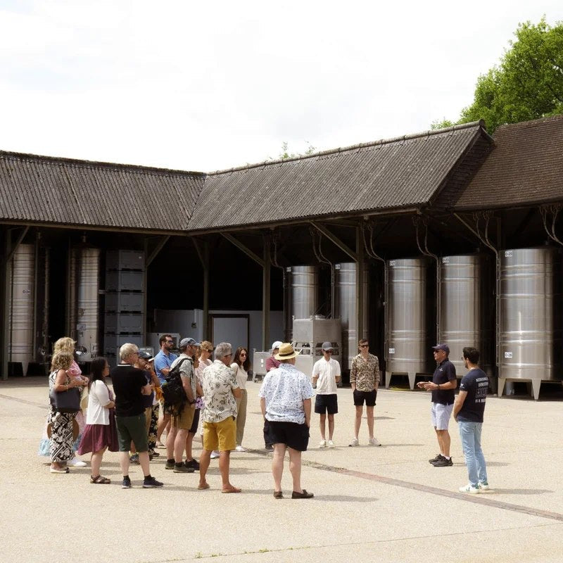 WineryTourandTastingExperience
