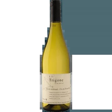 TrigoneBlancN°21–DomaineleSoula