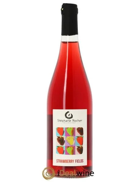 VindeFranceStrawberryFieldsLaFermeduMontBenault–StéphaneRocher2024