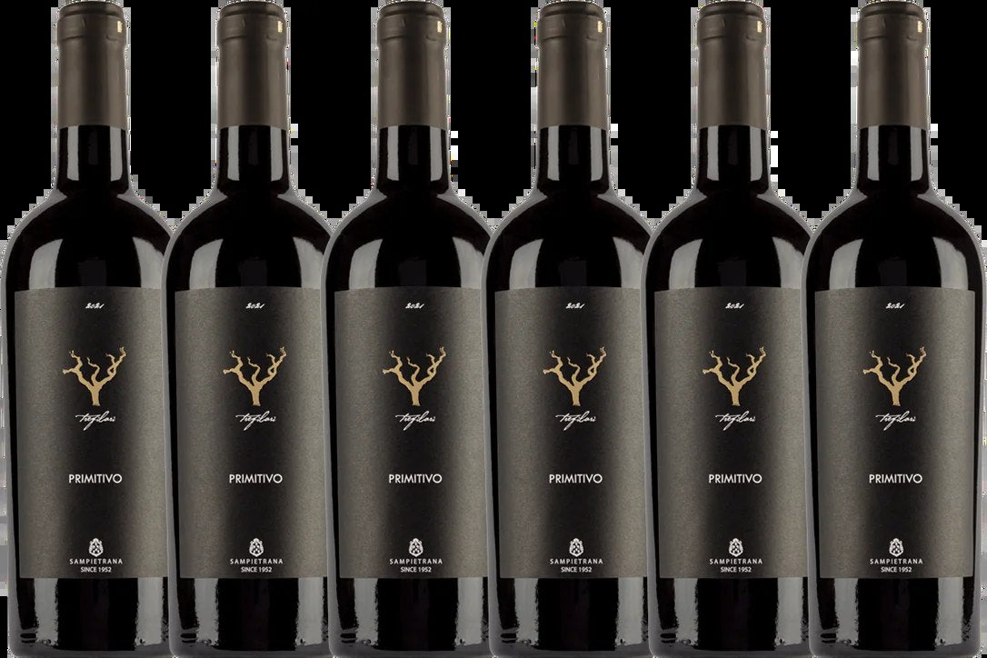 TrefilariAppassitePrimitivo–6BottleWineCase