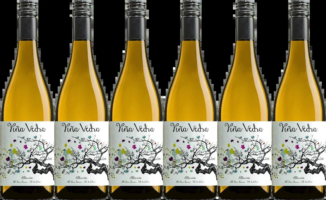 ViñaVedraAlbariño–6BottleWineCase