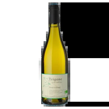 TrigoneBlanc2023–DomaineLeSoula