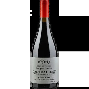 VinodeVinedo“LosParientes”PinotNoir2023–Baettig