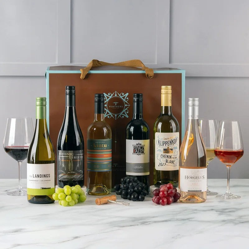 WineLoversContemporaryMixedSixBottleCase