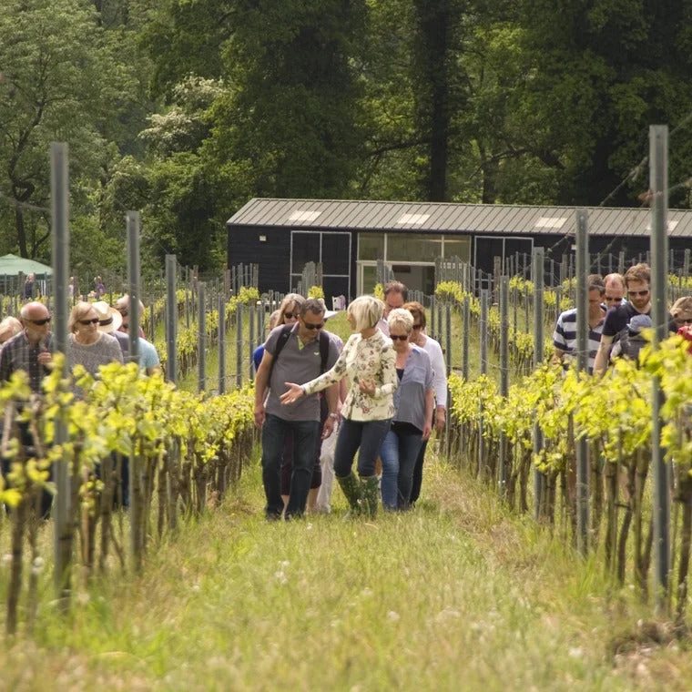 VineyardTour&Tasting