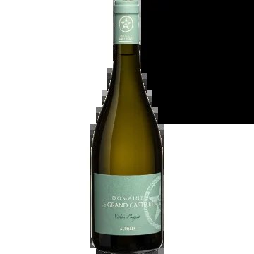 Violond’IngresBlanc2025–DomaineleGrandCastelet