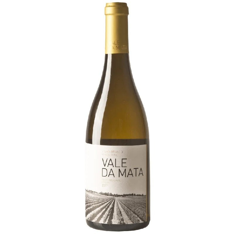ValeDaMata,LisboaBranco2021