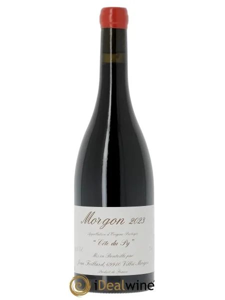 MorgonCôteduPyJeanFoillard2023