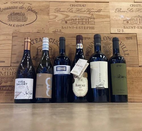 WineTastingBestMixed6
