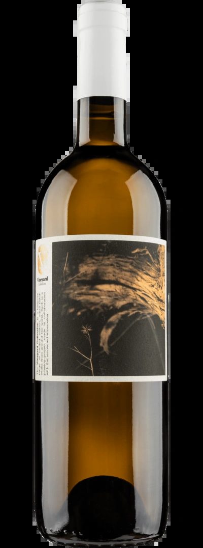 VineyardCollectionOldVineStockieSemillon2023