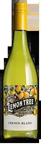 UndertheLemonTreeCheninBlanc2025