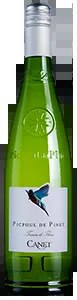 VignoblesCanetPicpouldePinet2024