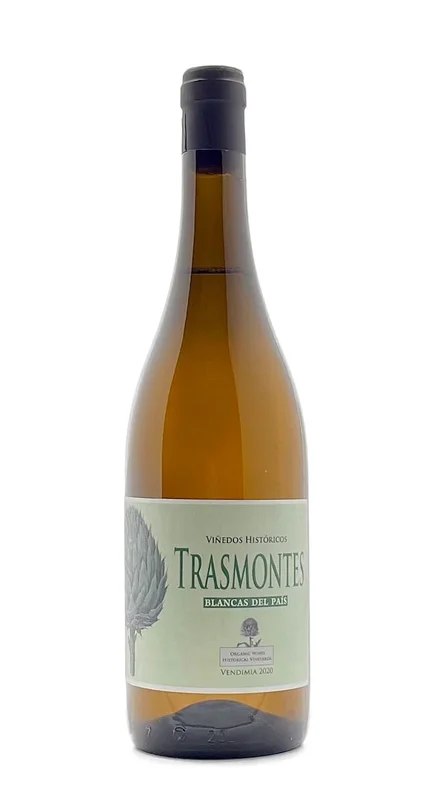 Trasmontes2020