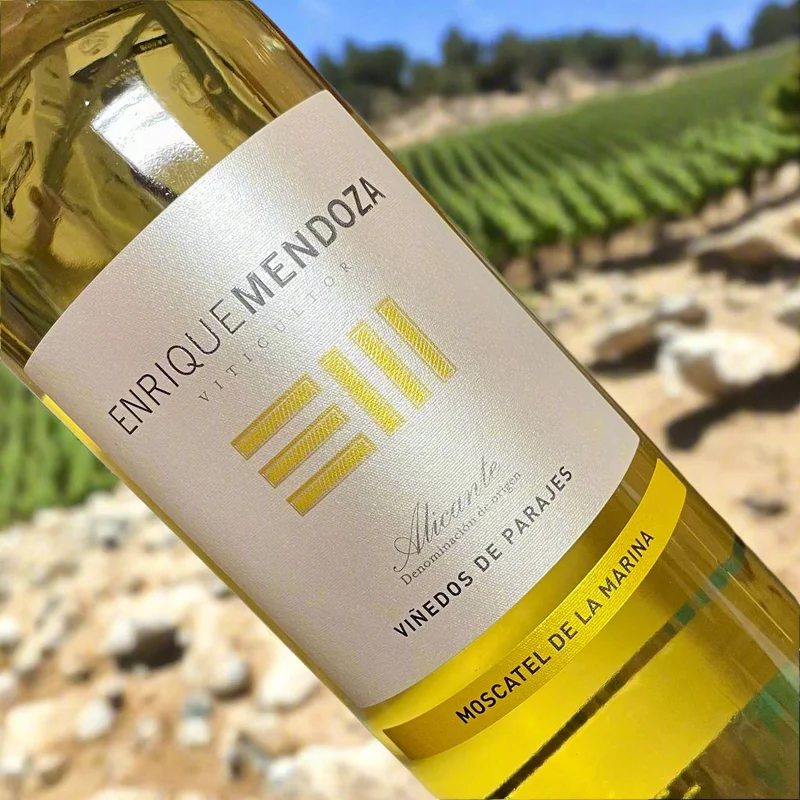 MoscateldelaMarina2024EnriqueMendoza