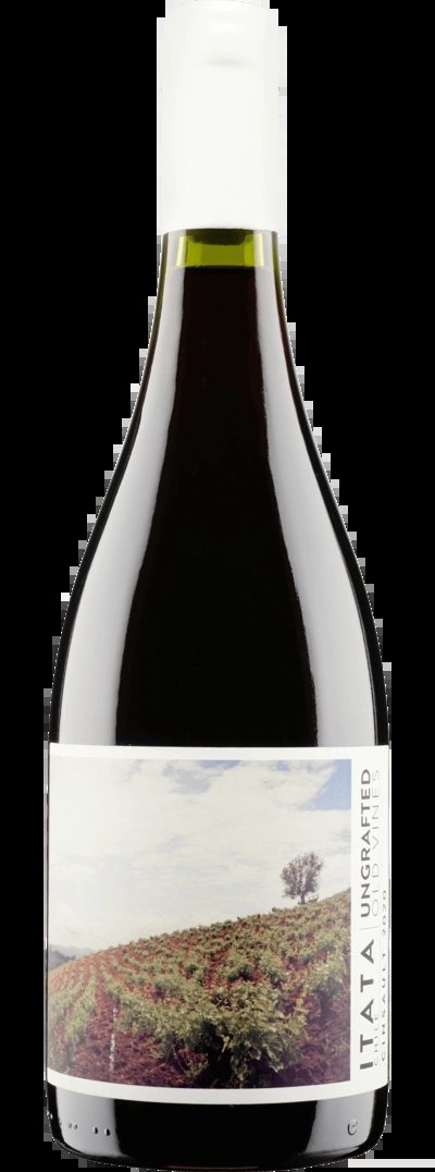 UngraftedItataOldVineCinsault2024