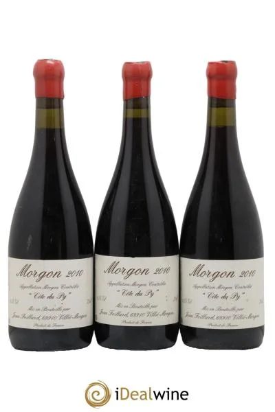 MorgonCôteduPyJeanFoillard2010