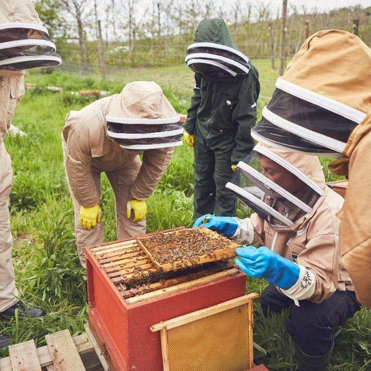 Bee-KeepingDemonstrationVoucher