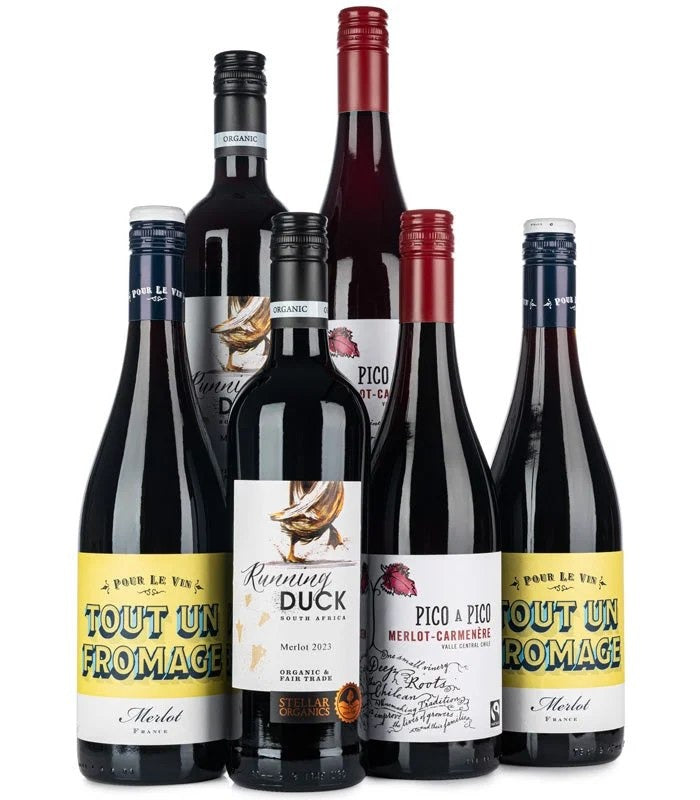FeelGoodMerlotWineCase