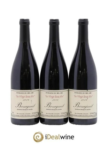 BourgueilVingtLieuxDitsDomaineduBelAir2018