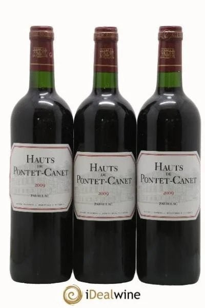 LesHautsdePontet-CanetSecondVin2009