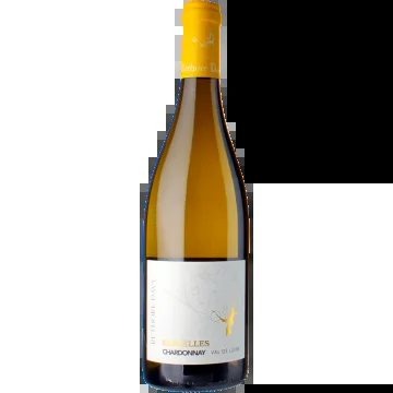 Chardonnay–Parcelles2025–RéthoréDavy