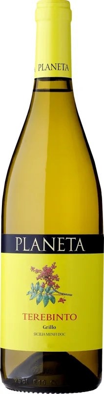 PlanetaTerebintoGrillo202475cl