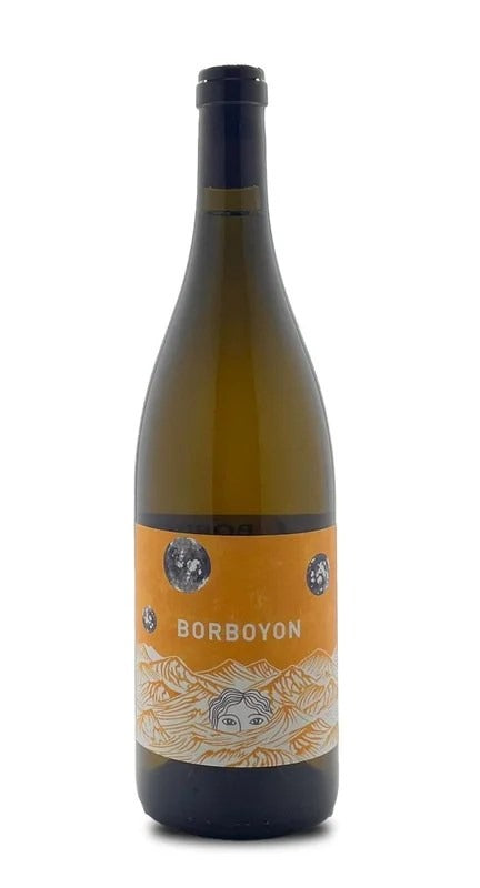 Borboyon2021