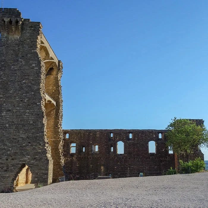 Châteauneuf-du-Pape,aMasterclasswithNicolasBrunier