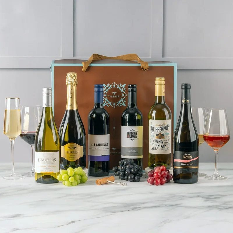 EntertainingEssentialsSixBottleCase