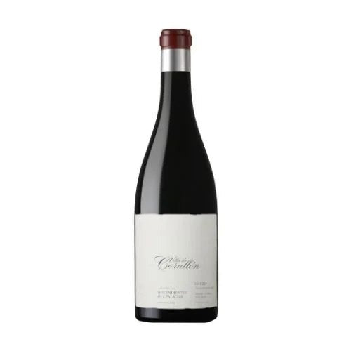 DescendientesdeJ.PalaciosBeirzoVilladeCorullon2019