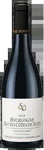 DomaineSylvainCathiardetFilsHautesCôtesdeNuitsAuxChaumes2023