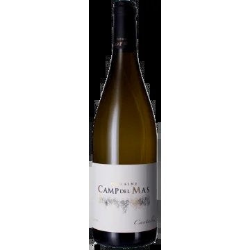 CantaluzBlanc2022–CampDelMas