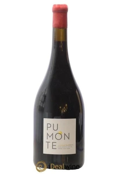 CalviPumonteDomaineAlzipratu2019