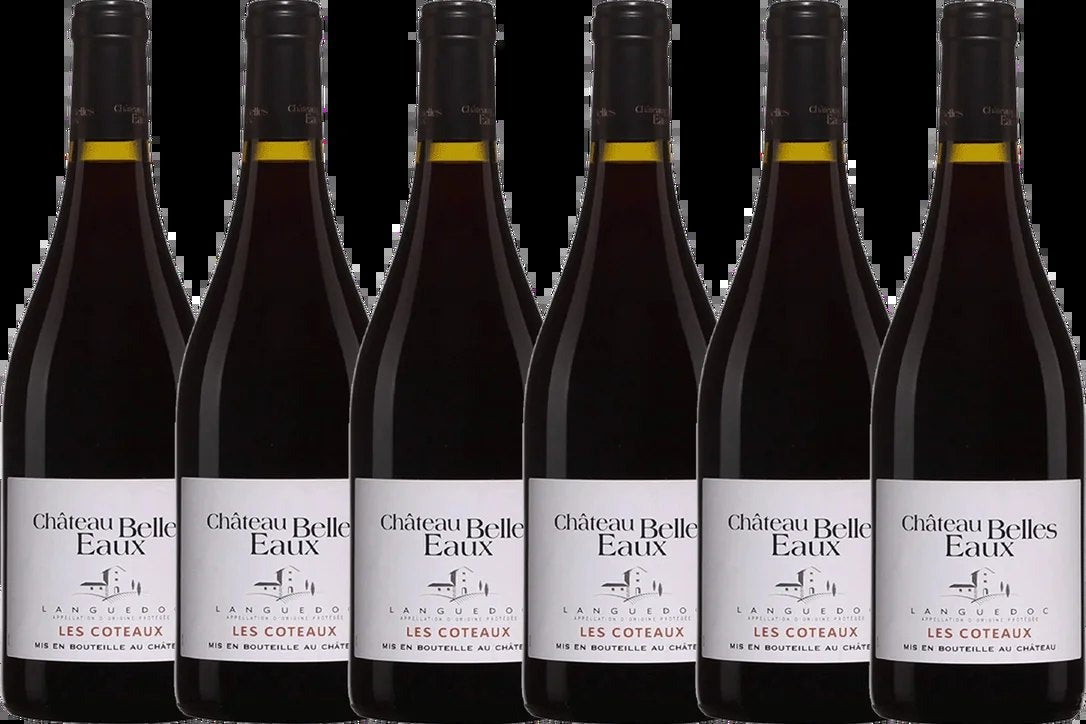 ChâteauBellesEauxLesCoteauxâ€?BottleWineCase