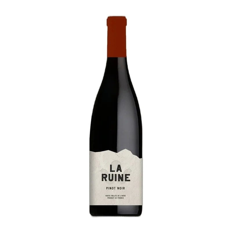 LaRuine|MorenoFrance|PinotNoir|IGPHauteValléedeL’Aude|France