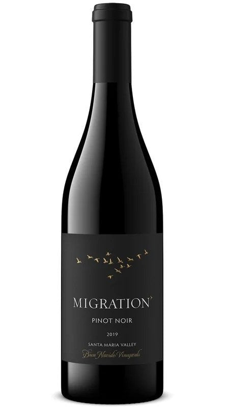 2019MigrationSantaMariaValleyPinotNoirBienNacidoVineyard