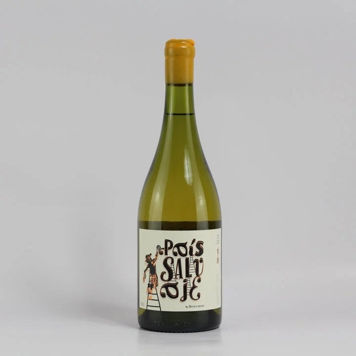 BouchonWines,PaisSalvajeWhite2020