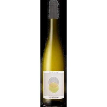Riesling2024–SophieSchaal