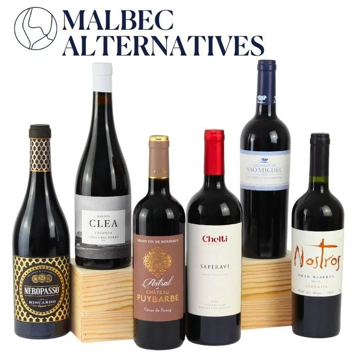 Findyournewfavourite…Malbecalternatives(FREEDeliveryonthisCase)