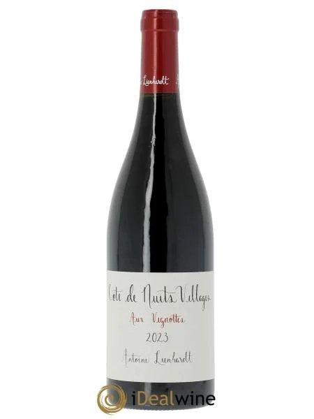 CôtedeNuits-VillagesAuxVignottesAntoineLienhardt2023