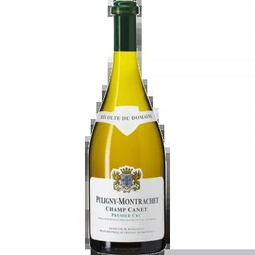 Puligny-Montrachet1erCru–ChampCanet2022–ChâteaudeMeursault