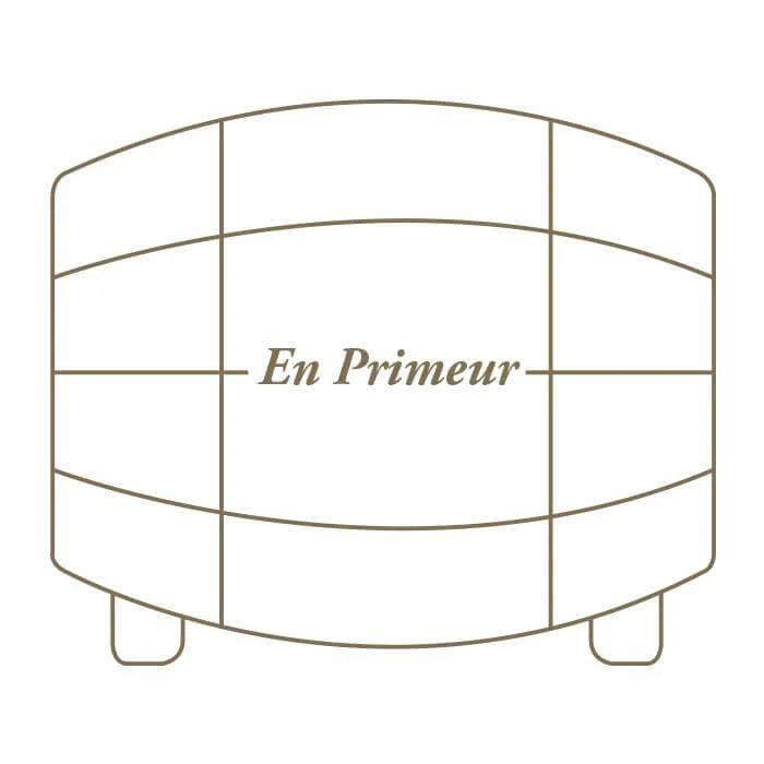 SantenayBlanc,ClosdelaCommeDessus,P&LBorgeot2024EnPrimeur–Caseof6