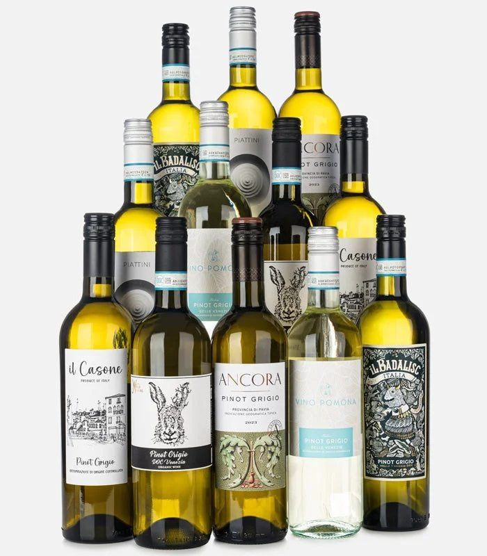 PopularPinotGrigioCase12