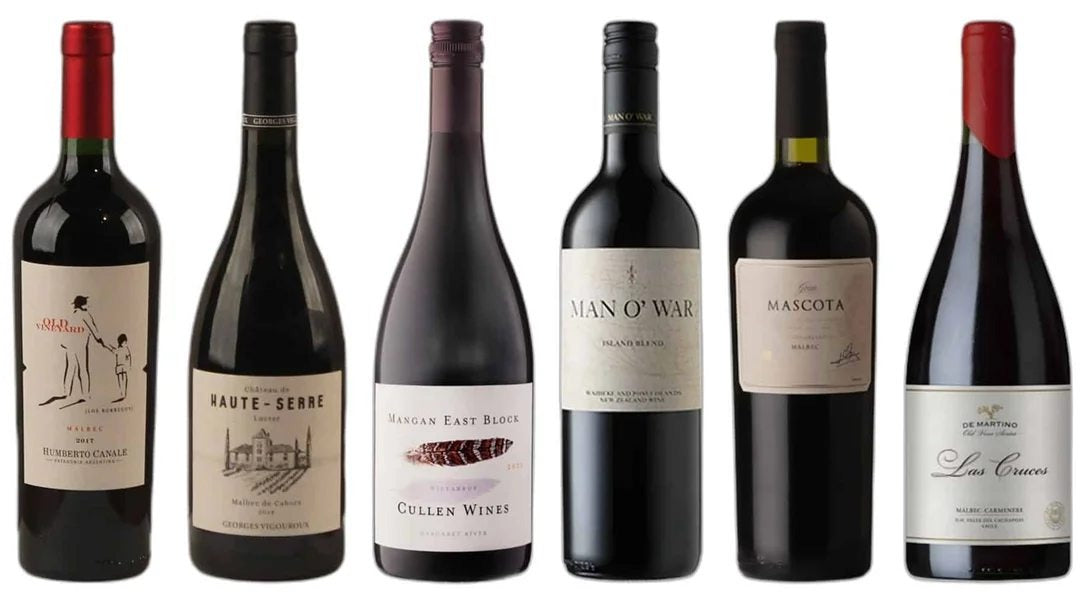 RemarkableMalbecWineCase