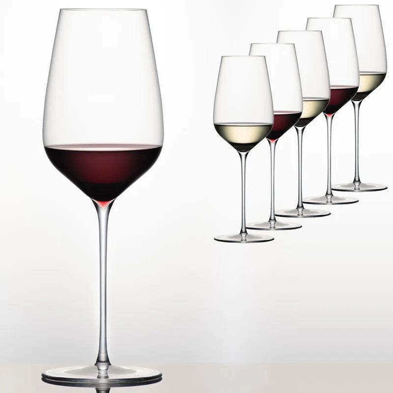 SydoniosRacineCollection–l’UniverselRed,White&ChampagneWineGlass–Setof6