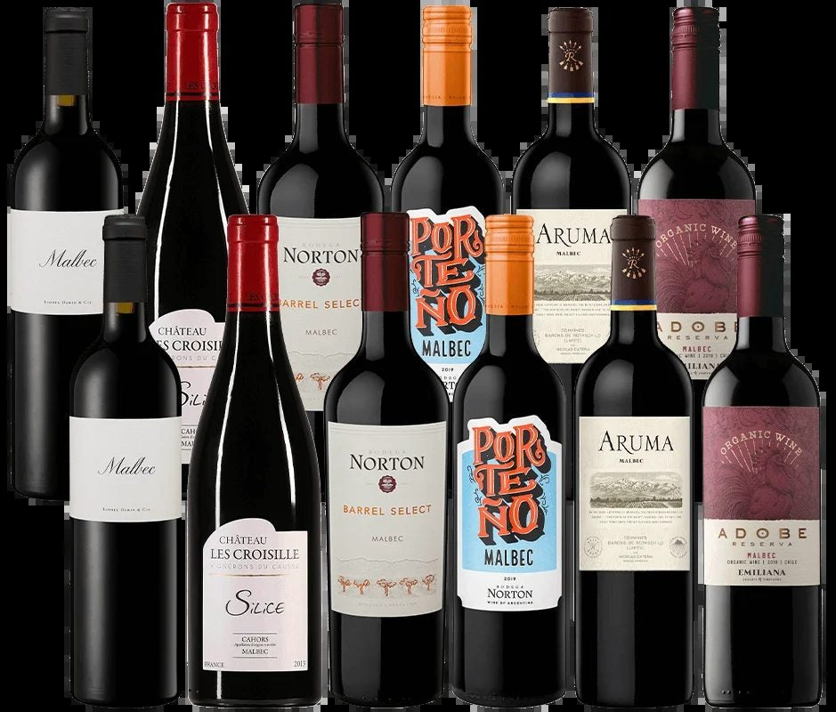 MarvellousMalbec�2BottleMixedCase