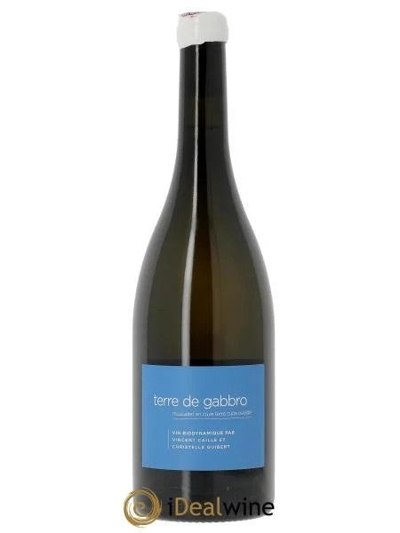 Muscadet-Sèvre-et-MaineTerredeGabbroLeFayd’Homme2023